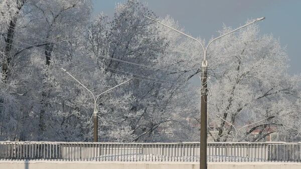 Морозный январь 2026 года в Минске - Sputnik Беларусь