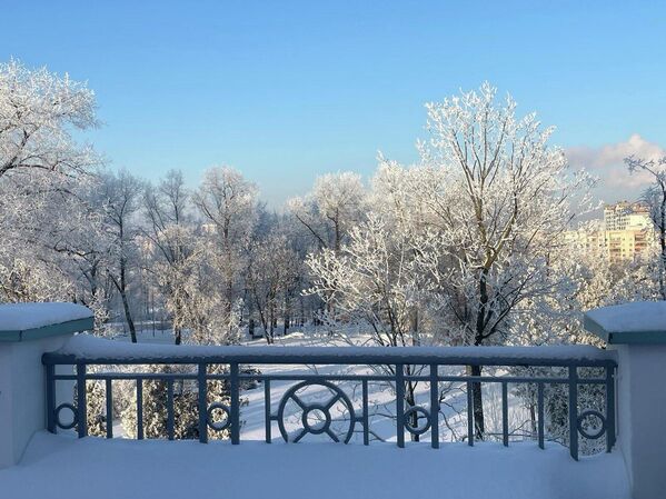 Морозный январь 2026 года в Минске - Sputnik Беларусь