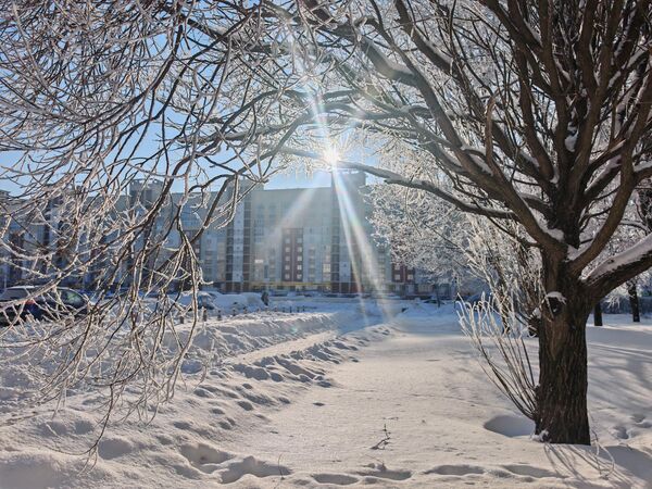 Морозный январь 2026 года в Минске - Sputnik Беларусь