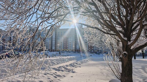 Морозный январь 2026 года в Минске - Sputnik Беларусь