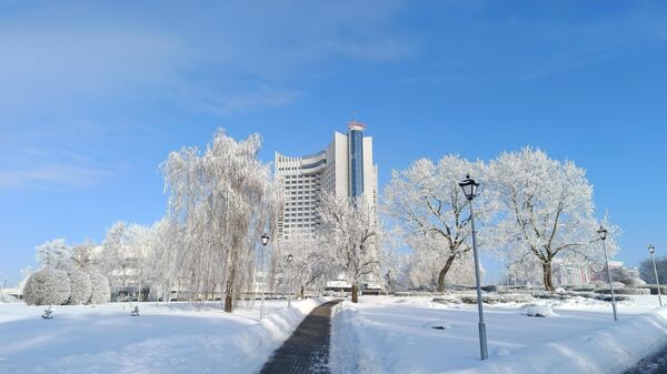 Белорусы делятся лайфхаками выживания при сильном морозе (видео) - Sputnik Беларусь