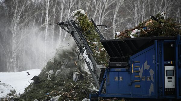 Утилизация елей, архивное фото - Sputnik Беларусь