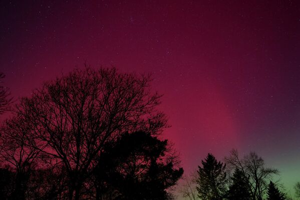 Северное сияние, также известное как полярное сияние, освещает небо над озером Фалькензее, Бранденбург, Германия, 19 января 2026 года. REUTERS/Liesa Johannssen