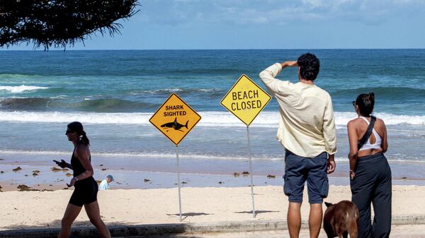 Предупреждающие знаки о закрытии пляжей после недавних нападений акул в Сиднее - Sputnik Беларусь