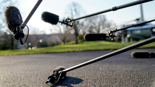 Микрофоны журналистов - Sputnik Беларусь