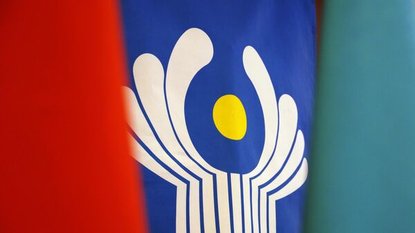 Міжнародны год добраахвотнікаў: які ўклад унясуць валанцёры краін СНД - Sputnik Беларусь