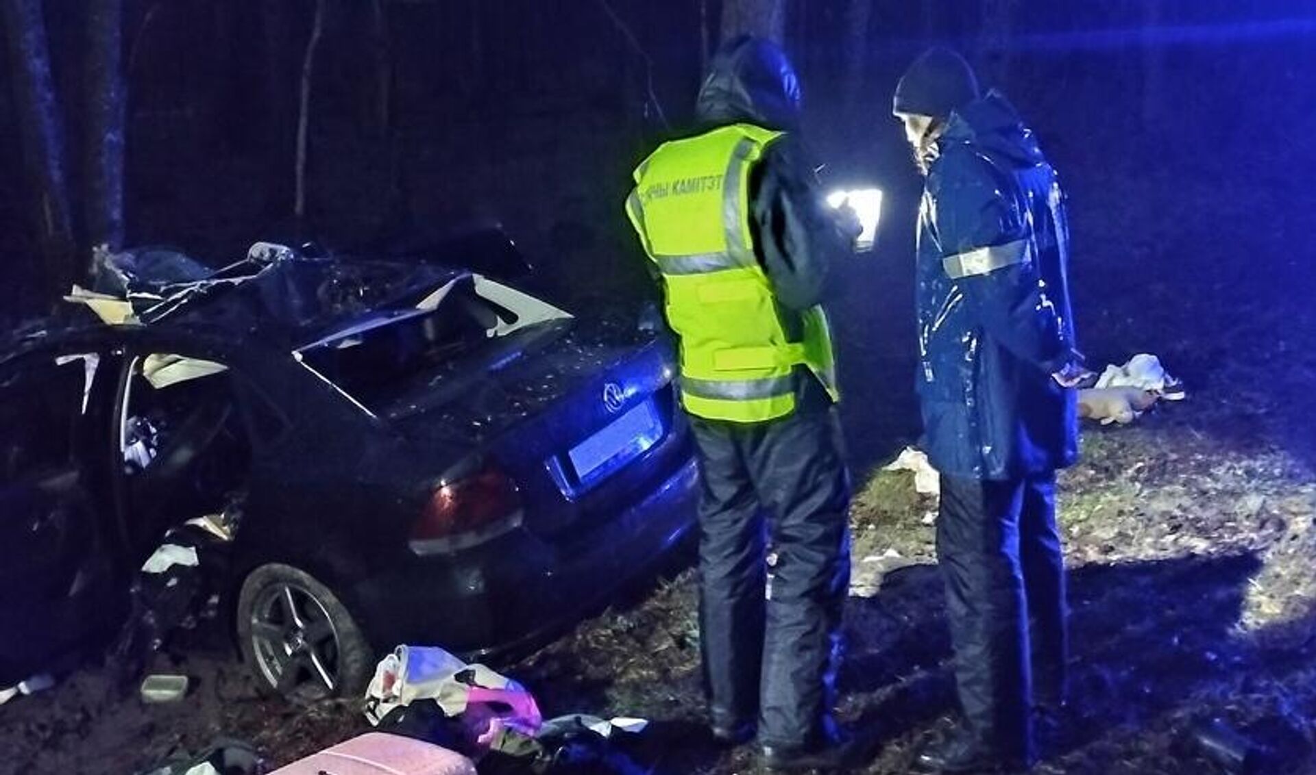 ДТП с участием диких животных - Sputnik Беларусь, 1920, 22.01.2026