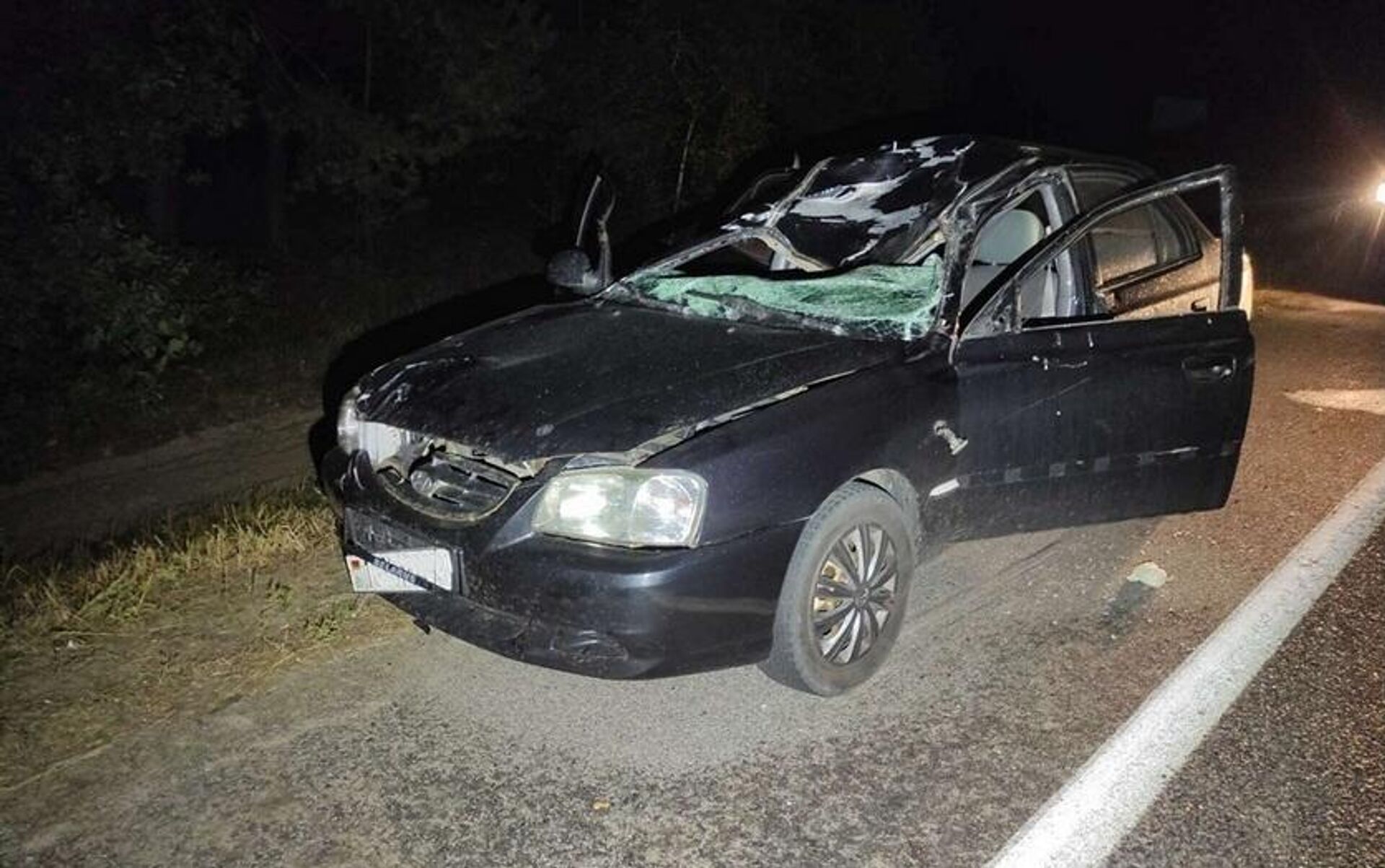 ДТП с участием диких животных - Sputnik Беларусь, 1920, 22.01.2026