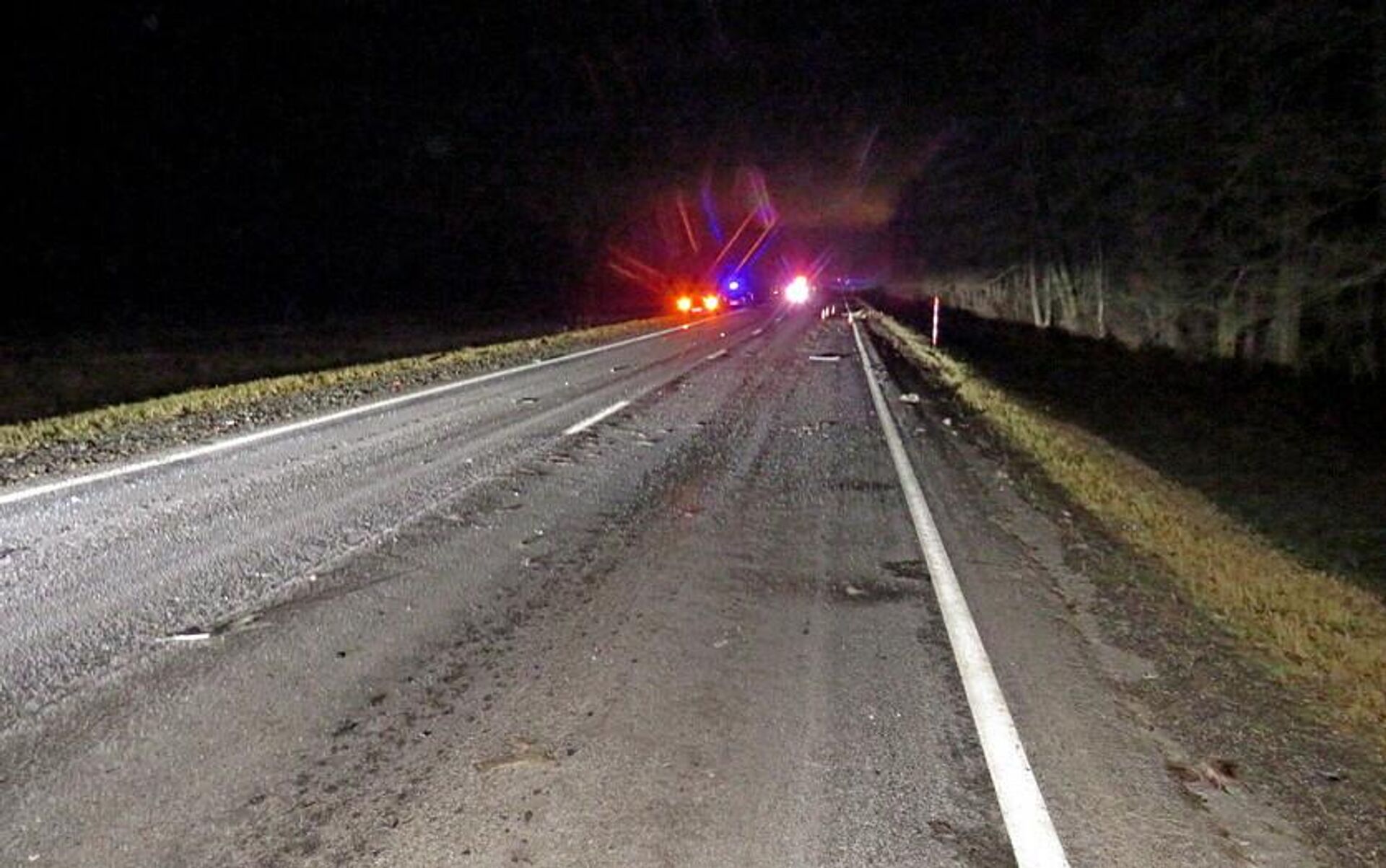 ДТП с участием диких животных - Sputnik Беларусь, 1920, 22.01.2026