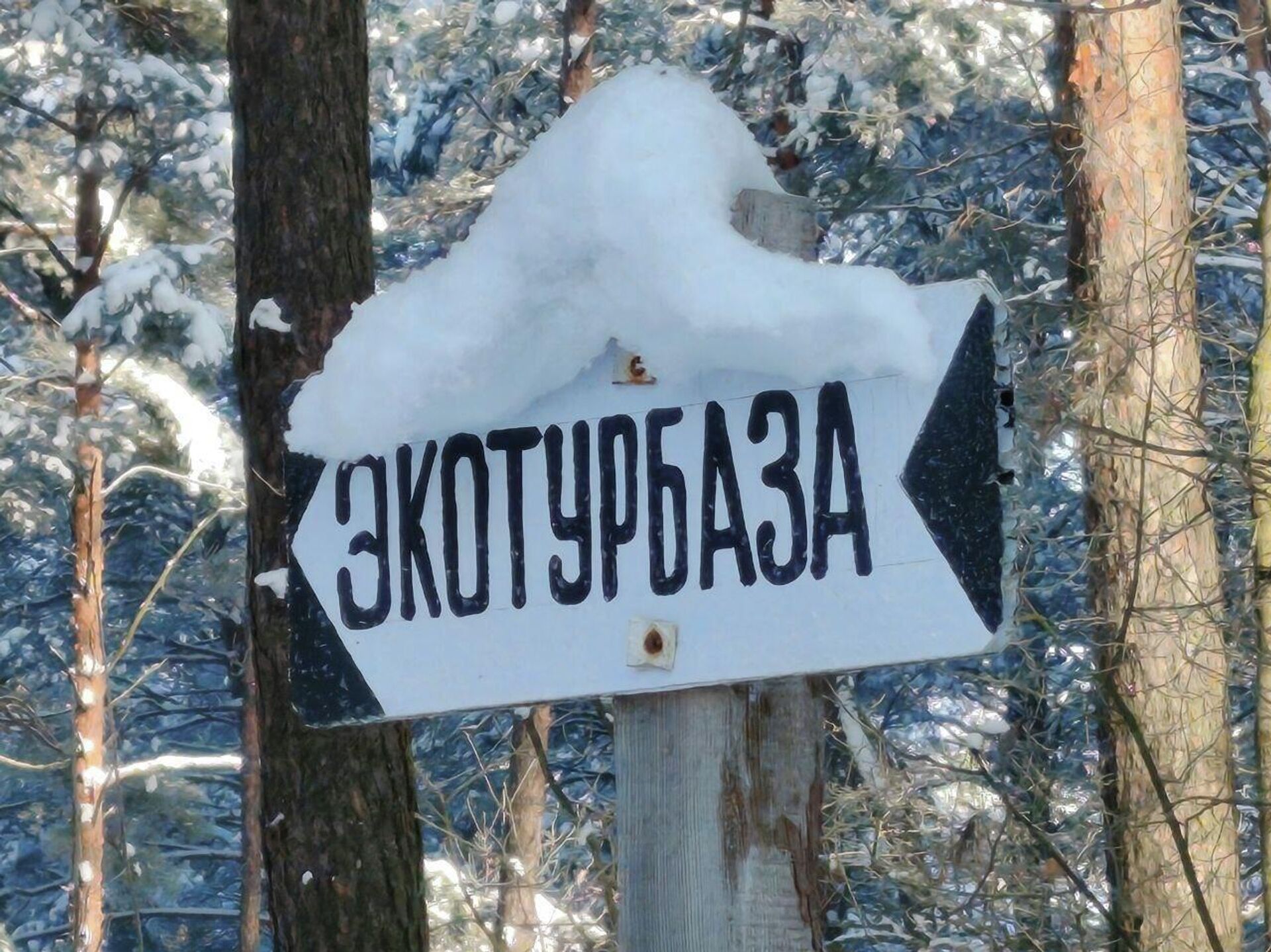 Указатель в заказнике Выдрица - Sputnik Беларусь, 1920, 22.01.2026