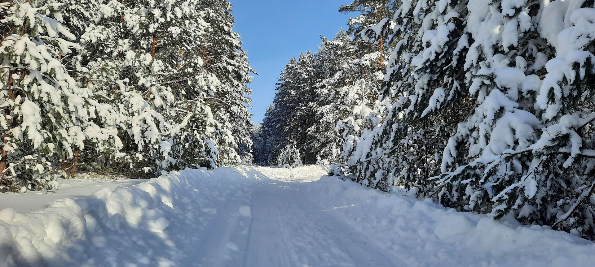 Территория заказника Выдрица - Sputnik Беларусь, 1920, 22.01.2026