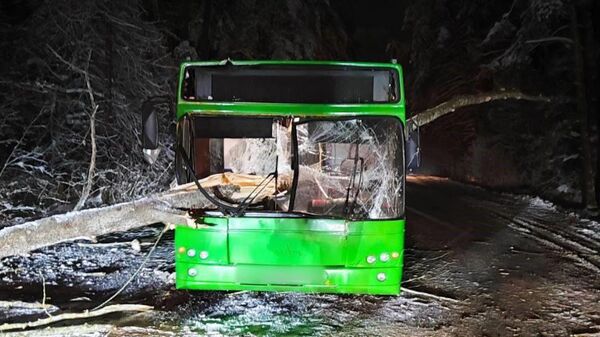 На месте ДТП - Sputnik Беларусь