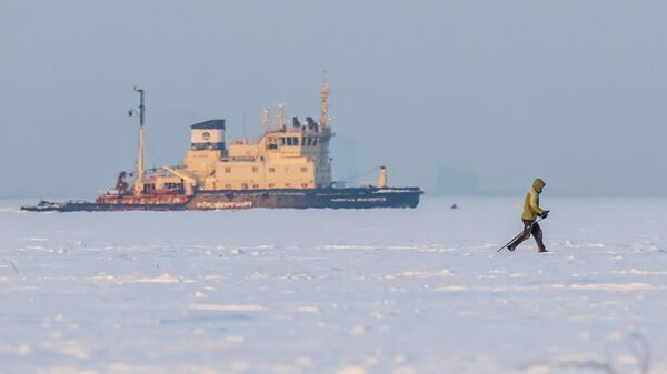 Лыжник на замерзшем Финском заливе в Санкт-Петербурге - Sputnik Беларусь