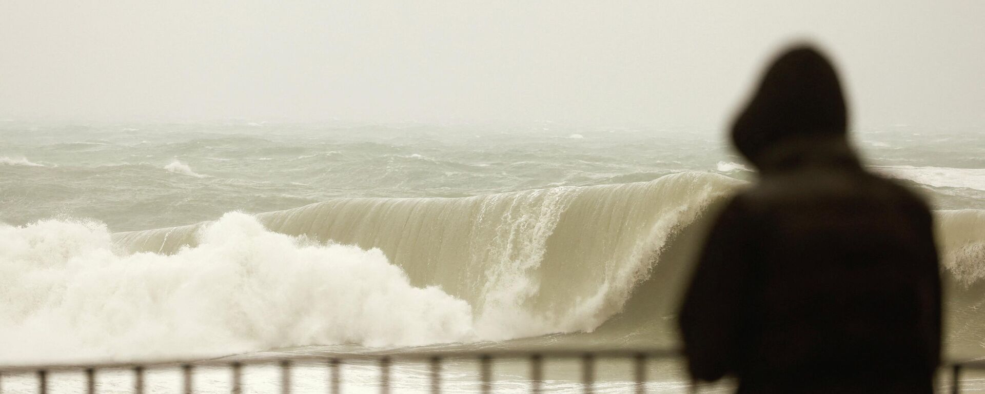 Циклон Гарри