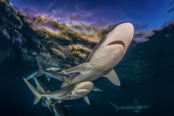 &amp;quot;Последний свет&amp;quot; фотографа Байрона Конроя