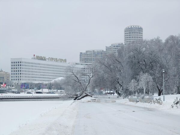 Снег в Минске - Sputnik Беларусь