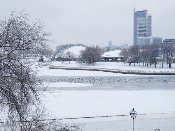 Снег в Минске - Sputnik Беларусь