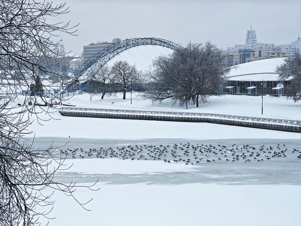 Снег в Минске - Sputnik Беларусь