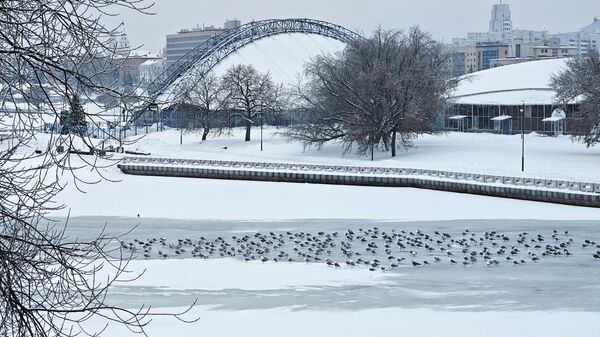 Снег в Минске - Sputnik Беларусь