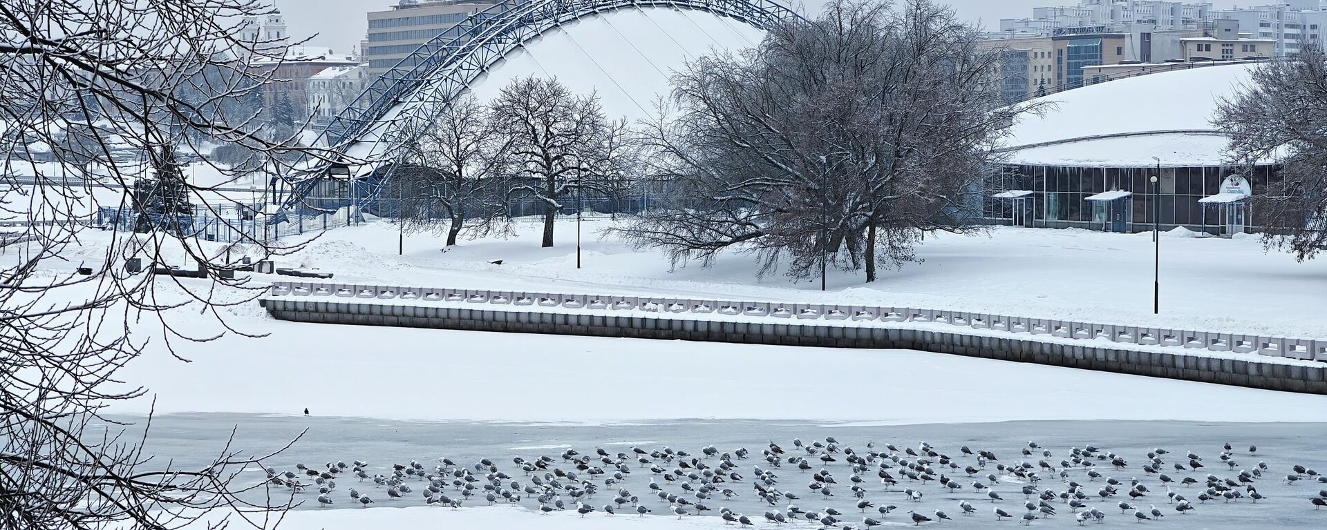 Снег у Мінску - Sputnik Беларусь, 1920, 28.01.2026