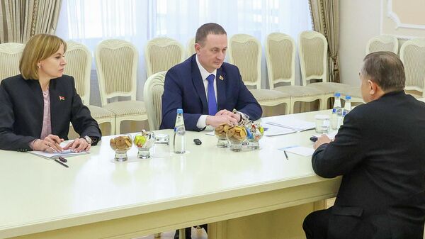 Встреча Александра Турчина и Сергея Глазьева 
 - Sputnik Беларусь