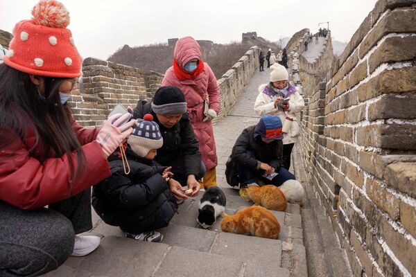 Туристы кормят кошек на участке Мутяньюй Великой Китайской стены.