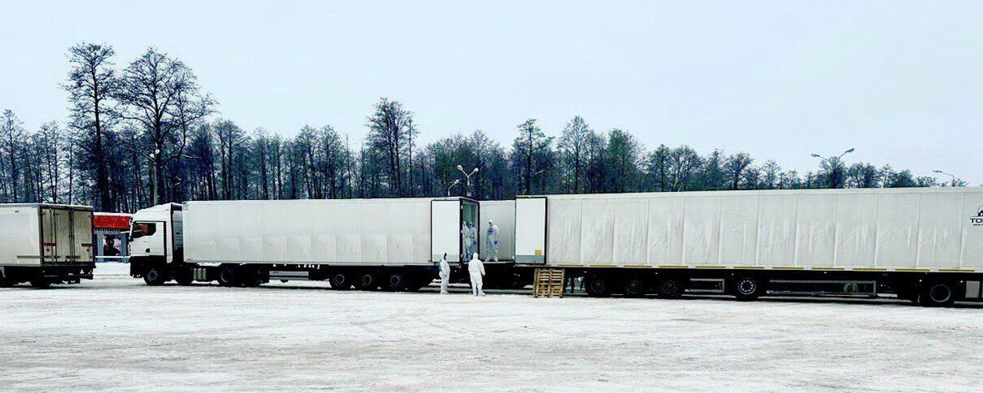 Рэфрыжэратары з целамі загінулых ваеннаслужачых - Sputnik Беларусь, 1920, 29.01.2026