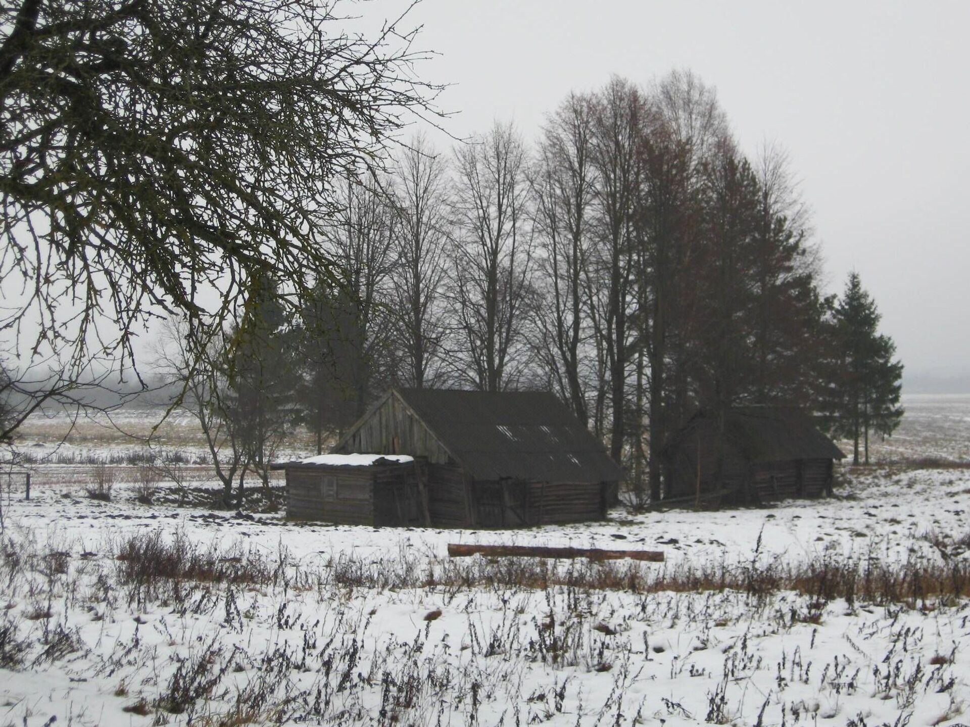 Зіма ў вёсцы - Sputnik Беларусь, 1920, 29.01.2026