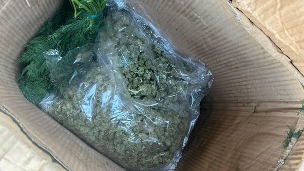 Контрабанда наркотиков - Sputnik Беларусь