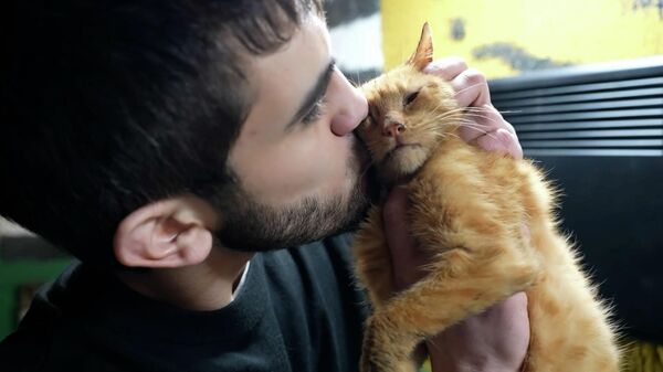 Ветеран СВО открыл приют и спасает бездомных и больных животных (видео) - Sputnik Беларусь