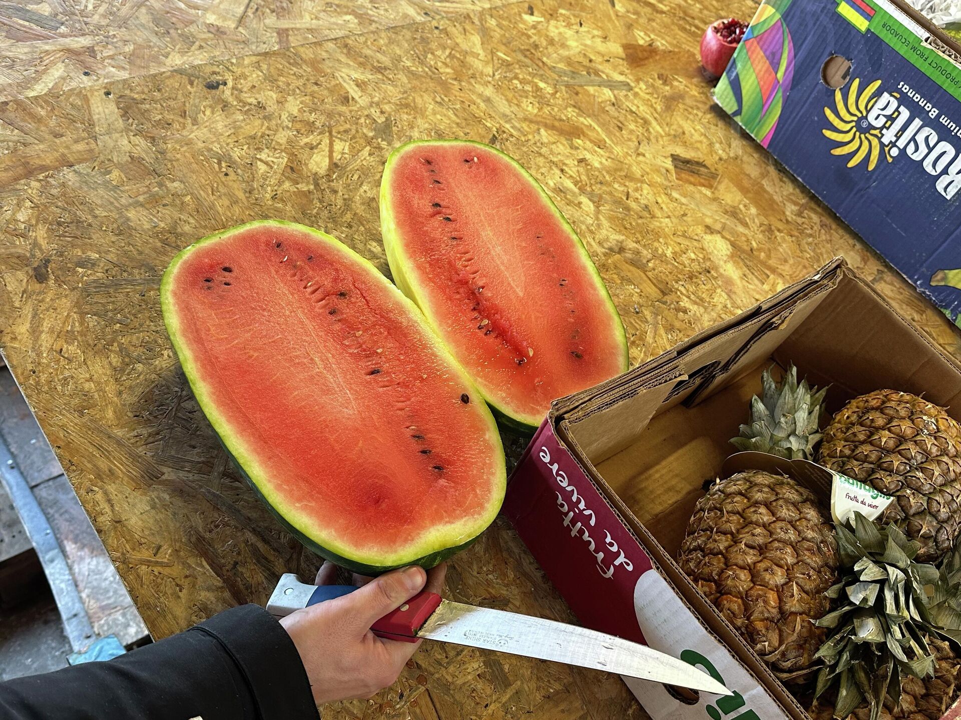 Таборы, экзотические фрукты - Sputnik Беларусь, 1920, 05.02.2026