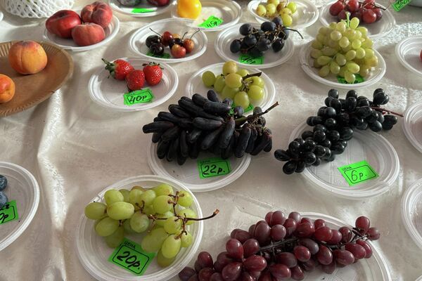 Широкий выбор винограда - Sputnik Беларусь