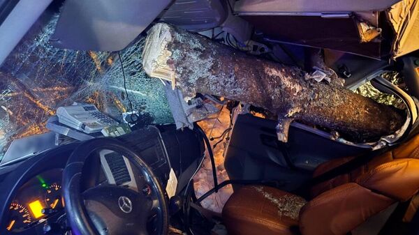 Маршрутка с пассажирами вылетела в кювет в Вилейском районе - Sputnik Беларусь