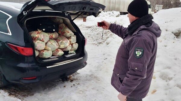 Машина с семенами - Sputnik Беларусь