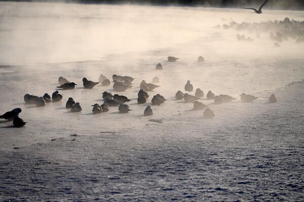   - Sputnik Беларусь