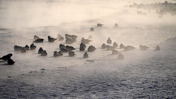 Мороз - Sputnik Беларусь