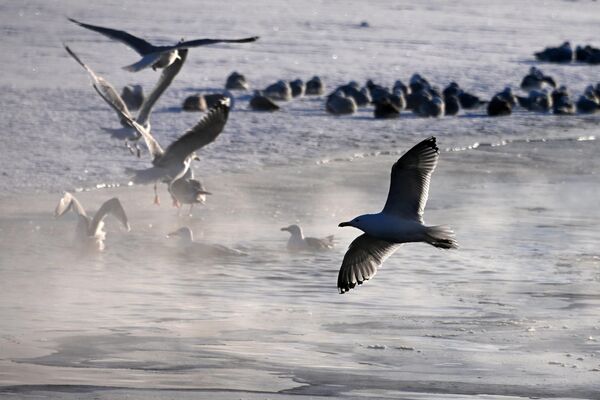   - Sputnik Беларусь