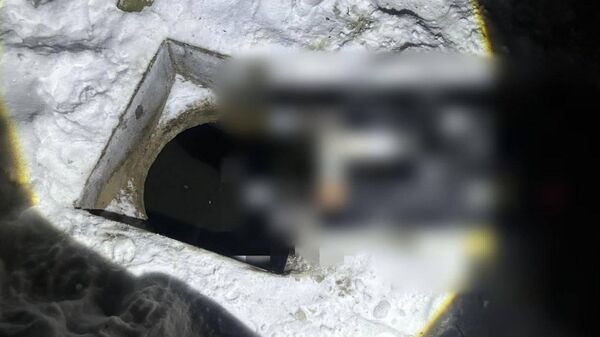 Колодец - Sputnik Беларусь