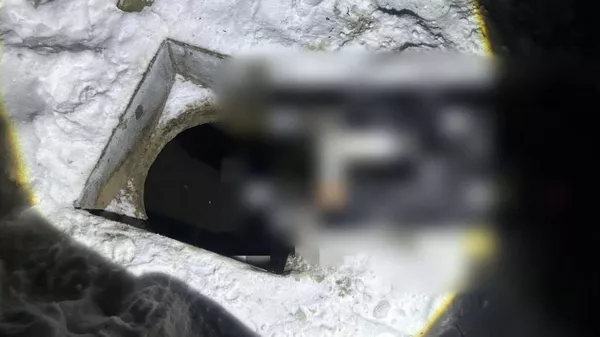 Женщина погибла в трехметровом колодце в Браславском районе