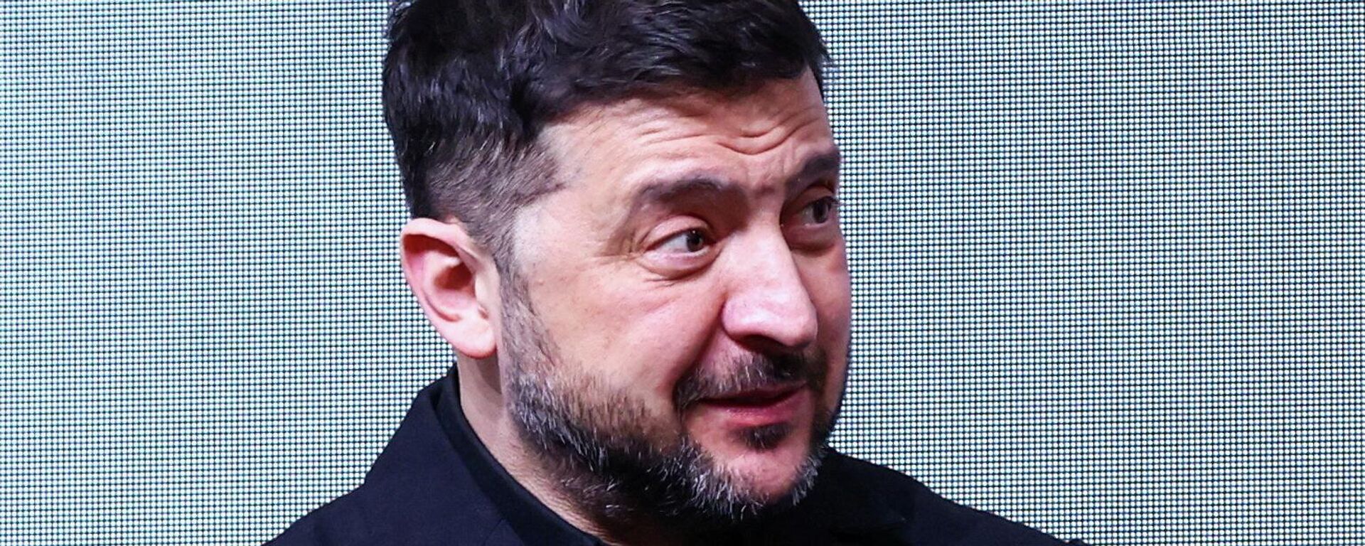 Владимир Зеленский - Sputnik Беларусь, 1920, 14.02.2026