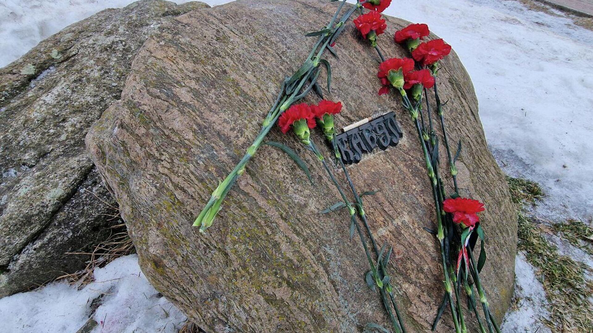 Возложение цветов к памятнику воинам-интернационалистам в на Острове памяти и скорби в Минске Возложение цветов к памятнику воинам-интернационалистам в на Острове памяти и скорби в Минске - Sputnik Беларусь, 1920, 15.02.2026