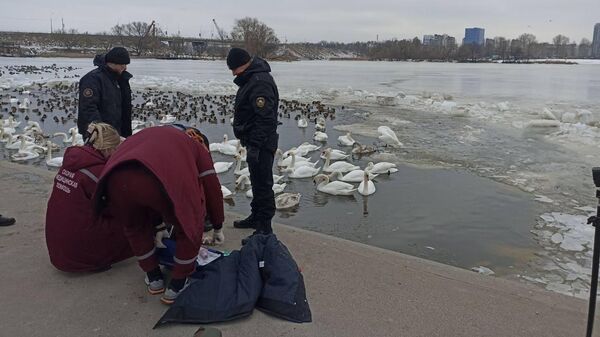 На месте ЧП в Бресте - Sputnik Беларусь