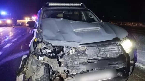 Смертельное ДТП: пешеход попал под колеса иномарки на Гомельщине