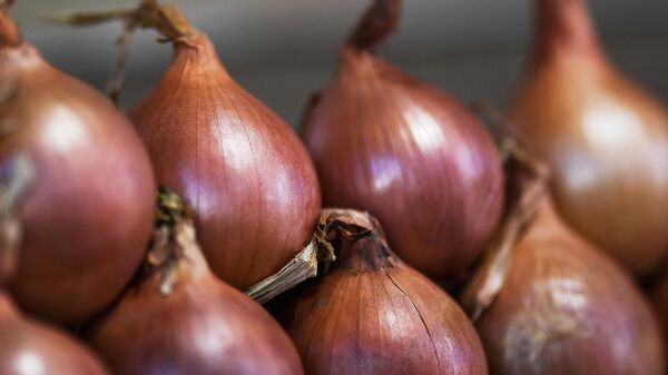 Продажа лука на рынке  - Sputnik Беларусь