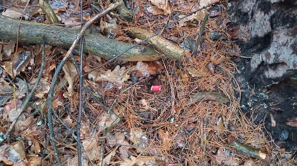 Закладка с наркотиком в лесу - Sputnik Беларусь