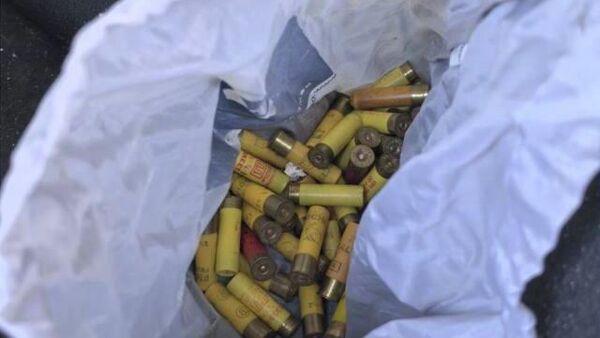 Патроны - Sputnik Беларусь