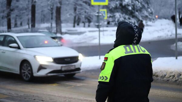 Сотрудник ДПС - Sputnik Беларусь