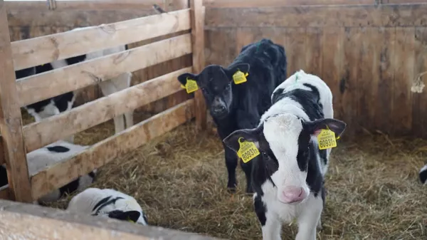 МВД будет курировать работу еще одного сельхозпредприятия