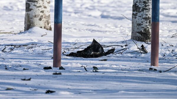 Абломкі БПЛА УСУ - Sputnik Беларусь