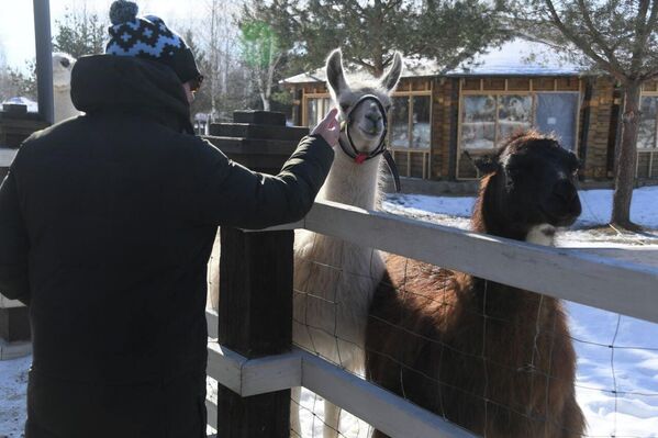 Блин-рекордсмен испекли в Барановичах на Масленицу  - Sputnik Беларусь